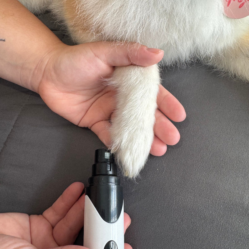 Electric Pet Nail Grinder